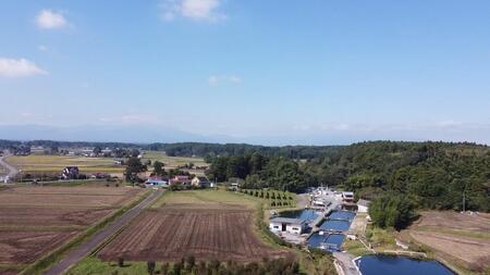 キングフィッシャー1日入場券2枚セット【女性・中学生】／ルアー・フライフィッシング専用管理釣り場