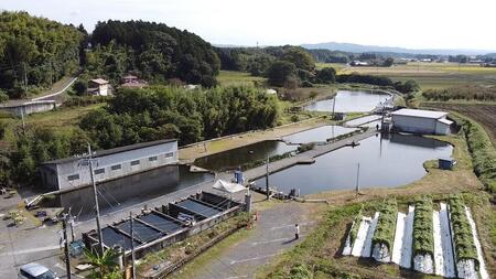 キングフィッシャー1日入場券2枚セット【女性・中学生】／ルアー・フライフィッシング専用管理釣り場