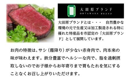 【大田原 前田牧場直送】骨付きステーキ 850g以上 | ブランド牛 牛肉 Tボーン ステーキ 産地直送 産直