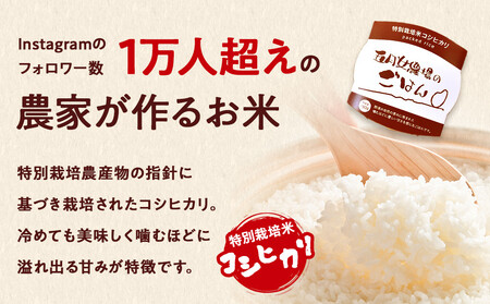 ☆農家直送のパックごはん☆五月女農場のごはん(150g×20個)