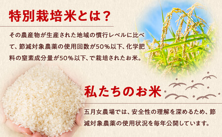 ☆農家直送のパックごはん☆五月女農場のごはん(150g×20個)