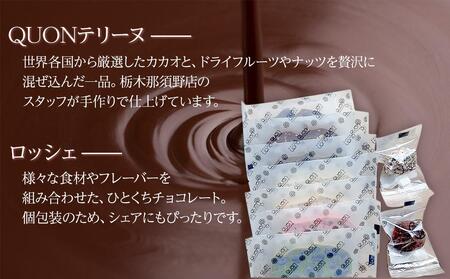 久遠チョコレート　栃木那須野店テリーヌ7枚・ロッシェ2粒セット｜ チョコレート 洋菓子 ショコラ 詰め合わせ セット 厳選 スイーツ QUON　