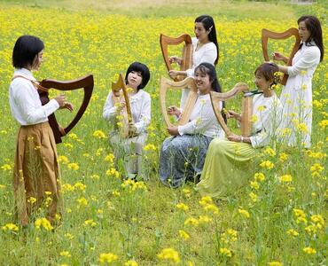 竪琴教室林音　国産材 ハープ 「森の竪琴」　1時間体験レッスンチケット（5名様まで） ｜ 音楽 利用券 体験 教室 