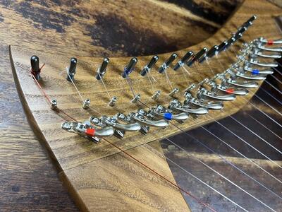 竪琴教室林音　国産材 ハープ 「森の竪琴」　1時間体験レッスンチケット（5名様まで） ｜ 音楽 利用券 体験 教室 