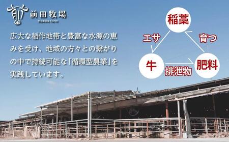 【大田原 前田牧場直送】赤身牛すき焼用切落し 500g×2パック