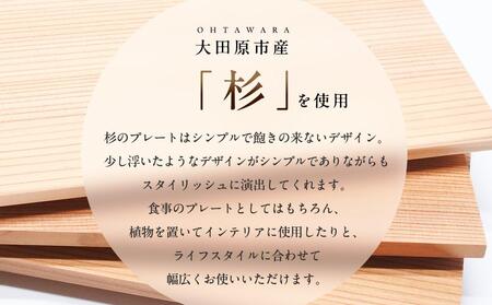 Sugi Multi plate 3枚セット |プレート 皿 木工 クラフト インテリア 杉 木材 大田原市
