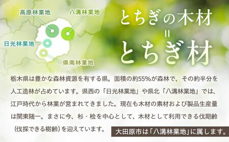 Sugi Multi plate 3枚セット |プレート 皿 木工 クラフト インテリア 杉 木材 大田原市