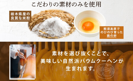 バウムクーヘン プレミアム ギフト BOX 2種 樹凛 |お菓子 スイーツ おやつ デザート 洋菓子 米粉 100%