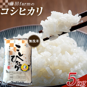 令和7年産 大田原市 藤田farmのコシヒカリ 【無洗米】 5kg ｜栃木県産 米 お米  コメ こしひかり コシヒカリ 栃木県 【選べる容量】5kg 10kg  数量限定 26,250円