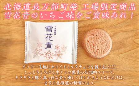 新感覚ショコラ NEW雪花青いちご 5枚入 スタンドタイプ×5袋 【 ふるさと納税 人気 おすすめ ランキング ハッピーディアーズ 北海道銘菓 工場直送 ホワイトチョコレート クッキー ショコラ ショコラクッキー いちご お菓子お土産 北海道 長万部町 送料無料 】 OSMP004