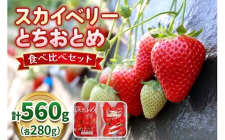 【12月中旬~4月発送】スカイベリー×とちおとめ 食べ比べセット | 計560g | いちご 