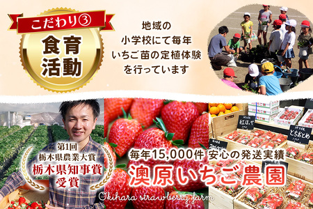 [数量限定] 年末年始にお届け！贅沢な栃木のいちご3種食べ比べセット｜とちあいか とちおとめ スカイベリー いちご 苺 フルーツ 果物 産地直送 [0565]