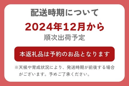 とちあいか 600g [2024年12月初旬より順次発送予定] 朝獲れ新鮮 秘密にしたい美味しさ｜いちご イチゴ 苺 フルーツ 果物 産地直送 先行予約 栃木県産 [0588]