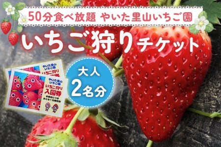 50分 食べ放題 いちご狩り チケット！やいた里山いちご園【大人2名分】｜とちあいか スカイベリー とちおとめ かおり野 イチゴ 苺 いちご 収穫体験 観光 旅行 フルーツ 果物 果実 栃木県 矢板市 [0598]