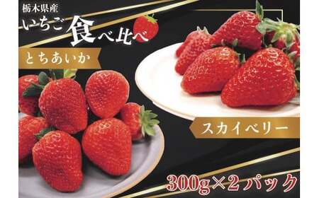 [先行予約][2026年12月中旬より順次発送予定・じゅわっと溢れだす] とちあいか＆スカイベリー食べ比べセット600g ｜いちご イチゴ 苺 フルーツ 果物 産地直送 栃木県産 矢板市産 先行予約 栃木県 矢板市
