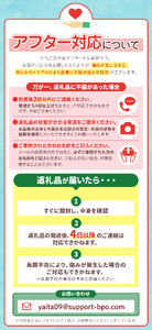 [先行予約][2026年12月中旬より順次発送予定・いちごの新時代] とちあいか4パック1200g｜いちご イチゴ 苺 フルーツ 果物 産地直送 栃木県産 矢板市産 先行予約  栃木県 矢板市