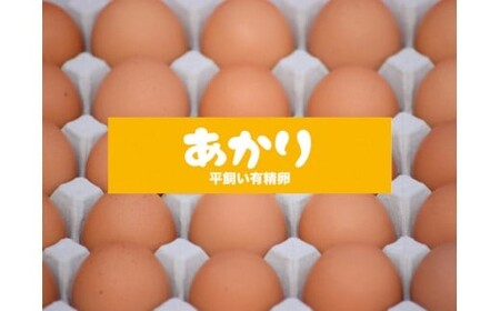 平飼い有精卵あかり｜30個｜たまご