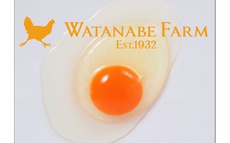 平飼い有精卵あかり｜30個｜たまご