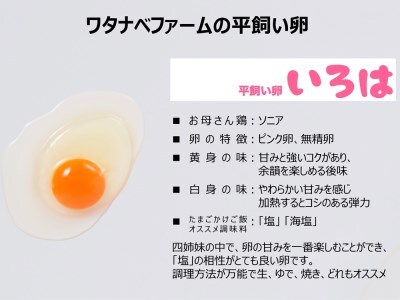 全体的に甘みとコクのある黄身が特徴 ワタナベファームの優等生な末っ子【平飼い卵いろは】