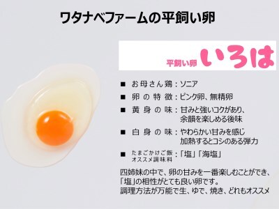 [平飼い卵30個×6か月連続定期便] 全体的に甘みとコクのある黄身【平飼い卵いろは】｜矢板市産 こだわり卵 たまご 玉子 生卵 鶏卵 [0437]