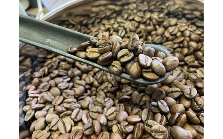 自家焙煎珈琲豆 ドリップバッグ 6種類飲み比べ 6種×4袋 計24袋｜SAKURA黒猫堂 珈琲 コーヒー 焙煎 ドリップコーヒー 