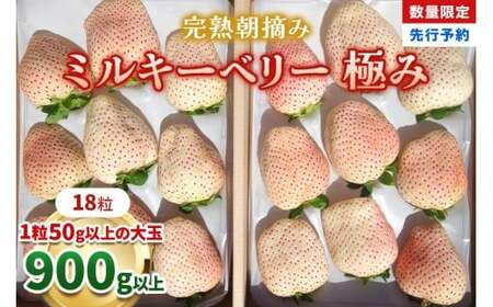 【1月初旬～2月初旬に順次発送】完熟朝摘みミルキーベリー 極み | 18粒 | いちご