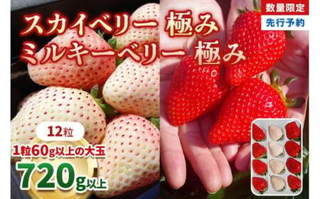 【1月初旬～2月初旬に順次発送】スカイベリー×ミルキーベリー 極み | 計12粒 | いちご