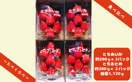 朝獲れ新鮮とちおとめ＆とちあいか食べ比べセット【12月中旬より順次発送予定】｜いちご イチゴ 苺 フルーツ 果物 産地直送 とちおとめ とちあいか 矢板市産 栃木県産 関農園 [0610]