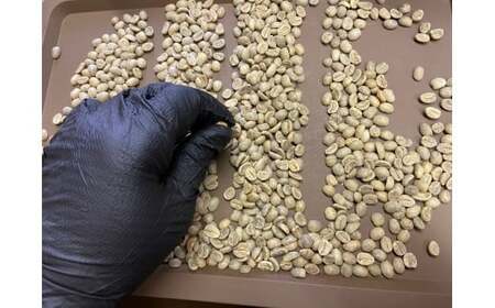 [やいたブランド認証品] 自家焙煎珈琲豆 YAITA BLEND《TSUTSUJI》ドリップバック (シティロースト) 12g×15袋｜SAKURA黒猫堂 珈琲 焙煎 コーヒー豆 矢板市 やいたブランド