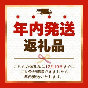 【ふるなび限定】一番人気!ココイチ カレー Bセット(ビーフ・ポーク各5個 定番)|カレー CoCo壱番屋 常温保存 非常食 簡単 時短 自宅用 キャンプ ふるさと納税 FN-Limited-PR