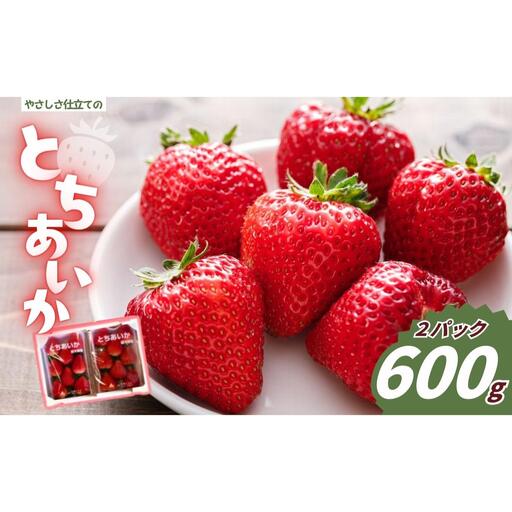 [12月中旬より順次発送予定] 朝摘みとちあいか 600g (300g×2パック)｜いちご イチゴ 苺 フルーツ 果物 産地直送 矢板市産 栃木県産 先行予約