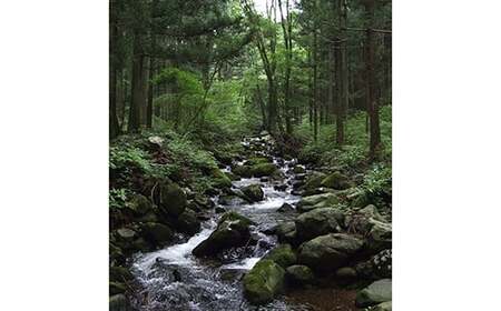 【定期便6回】産地直送栃木県のブランド魚「プレミアムヤシオマス」の刺身 200g [ 冷凍便 ] | 魚 ます 養殖 産地直送 栃木県 (毎月お届け）