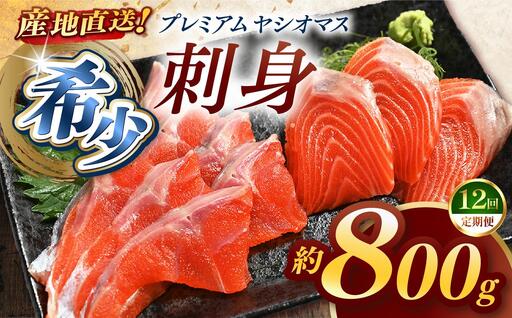 【定期便12回】産地直送栃木県のブランド魚「プレミアムヤシオマス」の刺身 800g (200g×4パック)  [ 冷凍便 ] | 魚 ます 養殖 産地直送 栃木県 (毎月お届け） 9,250円