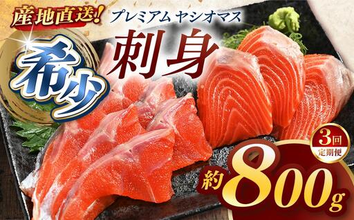 【定期便3回】産地直送栃木県のブランド魚「プレミアムヤシオマス」の刺身 800g (200g×4パック)    [ 冷凍便 ] | 魚 ます 養殖 産地直送 栃木県 (毎月お届け）