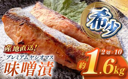「プレミアムヤシオマス」の味噌漬 2切入×10パック  [ 冷凍便 ] | 魚 ます 養殖 産地直送 栃木県