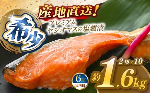 【定期便6回】「プレミアムヤシオマス」の塩麹漬 2切入×10パック  [ 冷凍便 ] | 魚 ます 養殖 産地直送 栃木県 (毎月お届け）