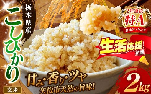 矢板市特別栽培米 こしひかり 玄米 2kg | お米 米 こめ 白米 玄米 にじのきらめき コシヒカリ こしひかり 美味しい お弁当 選べる エコ スマート 環境 手間暇 土づくり  ふるさと 納税 栃木県 矢板市