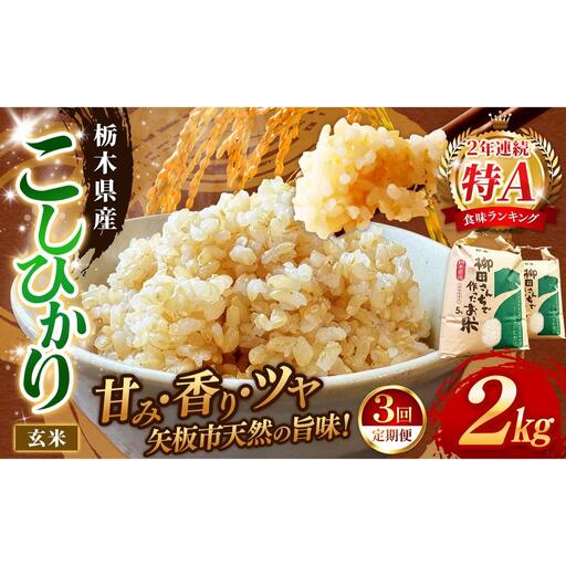 [定期便3回]矢板市特別栽培米 こしひかり 玄米 2kg | お米 米 こめ 白米 玄米 にじのきらめき コシヒカリ こしひかり 美味しい お弁当 選べる エコ スマート 環境 手間暇 土づくり  ふるさと 納税 栃木県 矢板市