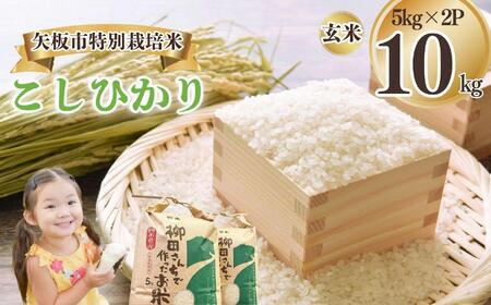 矢板市特別栽培米 こしひかり 玄米 5kg×2P | お米 米 こめ 白米 玄米 にじのきらめき コシヒカリ こしひかり 美味しい お弁当 選べる エコ スマート 環境 手間暇 土づくり  ふるさと 納税 栃木県 矢板市