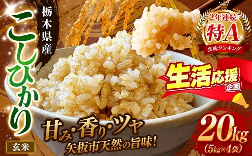 矢板市特別栽培米 こしひかり 玄米 5kg×4P | お米 米 こめ 白米 玄米 にじのきらめき コシヒカリ こしひかり 美味しい お弁当 選べる エコ スマート 環境 手間暇 土づくり  ふるさと 納税 栃木県 矢板市