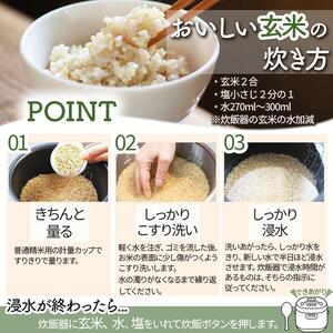 [定期便3回]矢板市特別栽培米 こしひかり 玄米 5kg×4P | お米 米 こめ 白米 玄米 にじのきらめき コシヒカリ こしひかり 美味しい お弁当 選べる エコ スマート 環境 手間暇 土づくり  ふるさと 納税 栃木県 矢板市