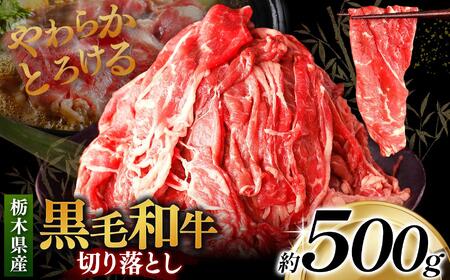 栃木県産黒毛和牛切り落とし 500g｜数量限定 黒毛 和牛 牛肉 国産牛 国産 ブランド牛 お肉 切り落とし サシ 霜降り 甘い ステーキ すき焼き しゃぶしゃぶ 焼肉 切落し 上品 アレンジ 美味しい 料理 主婦 とちぎ  栃木県 矢板市