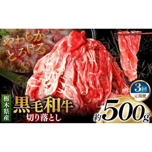 [定期便3回]栃木県産黒毛和牛切り落とし 500g｜数量限定 黒毛 和牛 牛肉 国産牛 国産 ブランド牛 お肉 切り落とし サシ 霜降り 甘い ステーキ すき焼き しゃぶしゃぶ 焼肉 切落し 上品 アレンジ 美味しい 料理 主婦 とちぎ  栃木県 矢板市