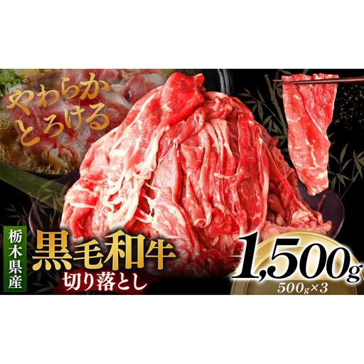 栃木県産黒毛和牛切り落とし 1500g｜数量限定 黒毛 和牛 牛肉 国産牛 国産 ブランド牛 お肉 切り落とし サシ 霜降り 甘い ステーキ すき焼き しゃぶしゃぶ 焼肉 切落し 上品 アレンジ 美味しい 料理 主婦 とちぎ  栃木県 矢板市