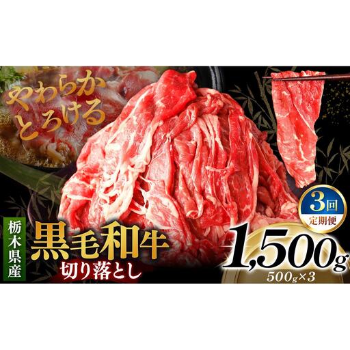 [定期便3回]栃木県産黒毛和牛切り落とし 1500g｜数量限定 黒毛 和牛 牛肉 国産牛 国産 ブランド牛 お肉 切り落とし サシ 霜降り 甘い ステーキ すき焼き しゃぶしゃぶ 焼肉 切落し 上品 アレンジ 美味しい 料理 主婦 とちぎ  栃木県 矢板市