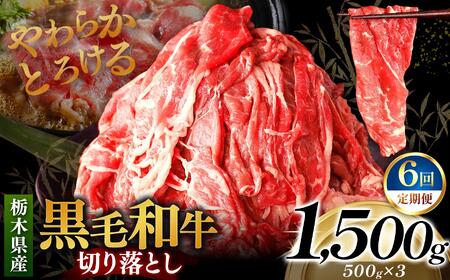 [定期便6回]栃木県産黒毛和牛切り落とし 1500g｜数量限定 黒毛 和牛 牛肉 国産牛 国産 ブランド牛 お肉 切り落とし サシ 霜降り 甘い ステーキ すき焼き しゃぶしゃぶ 焼肉 切落し 上品 アレンジ 美味しい 料理 主婦 とちぎ  栃木県 矢板市