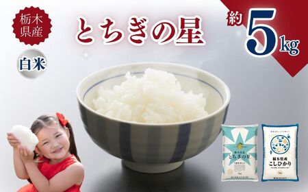 栃木県産とちぎの星 5kg | お米