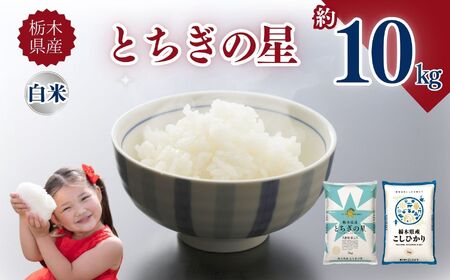 栃木県産とちぎの星 10kg | お米