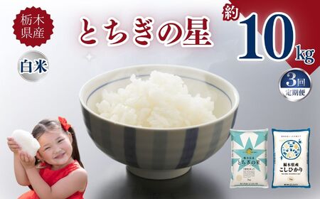 【定期便3回】栃木県産とちぎの星 10kg | お米