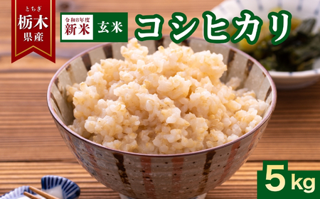 【2026年先行予約】コシヒカリ 玄米 5kg | 玄米